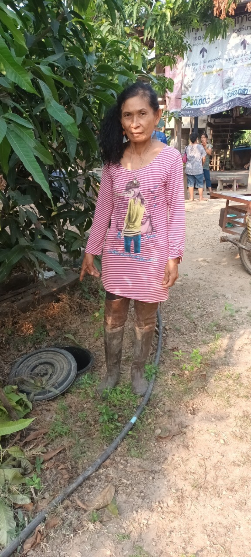 รูปภาพเพิ่มเติม