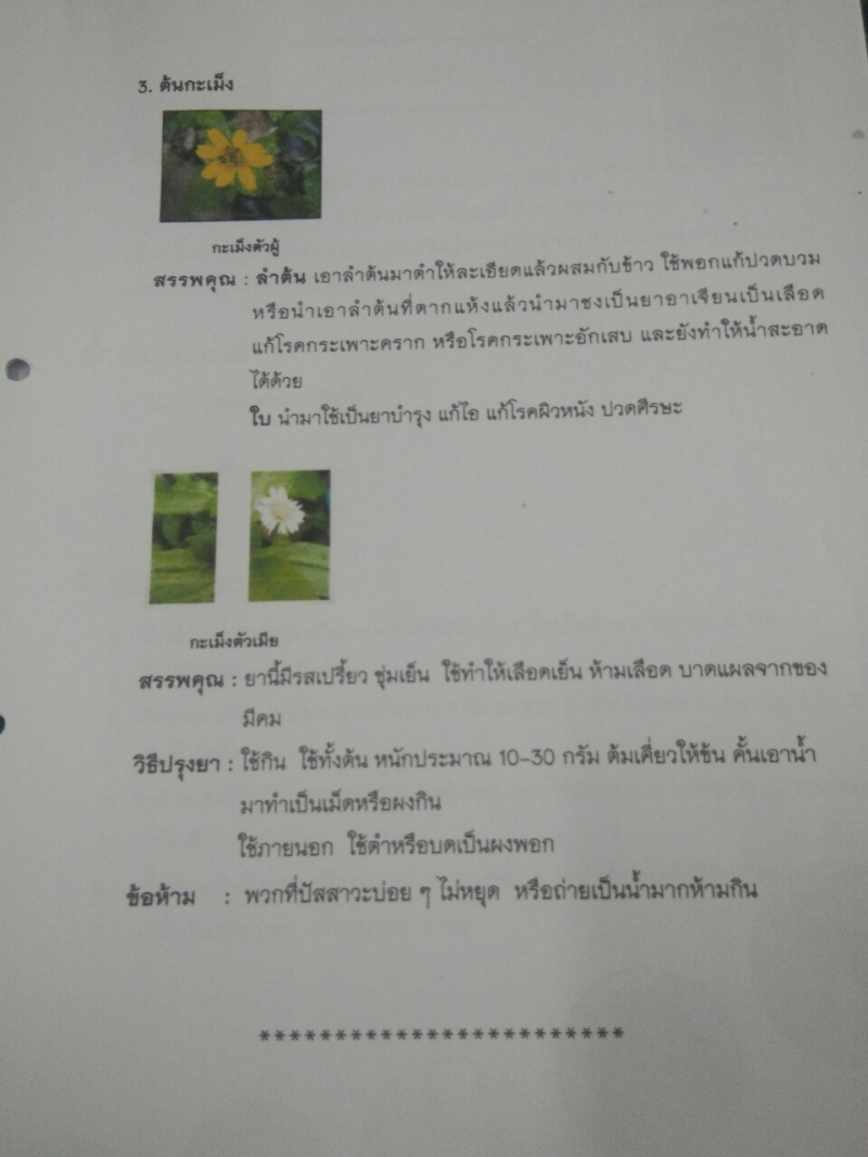 รูปภาพเพิ่มเติม