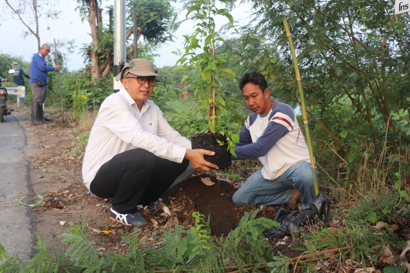 รูปภาพเพิ่มเติม