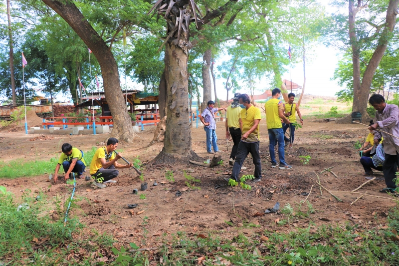 รูปภาพเพิ่มเติม