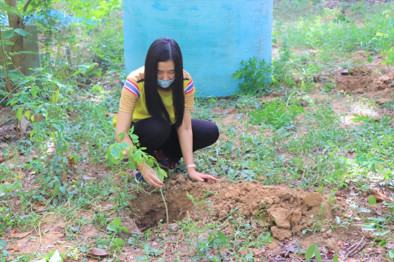 รูปภาพเพิ่มเติม